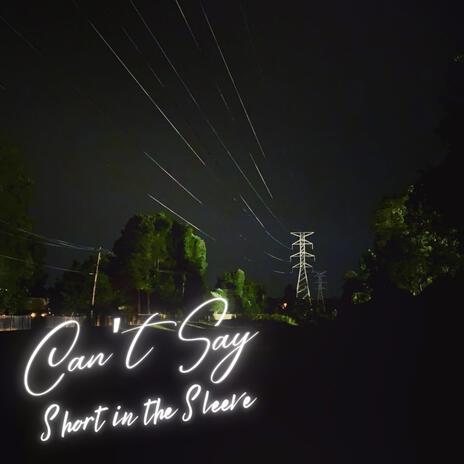 Can't Say cover art