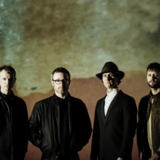 Maximo Park