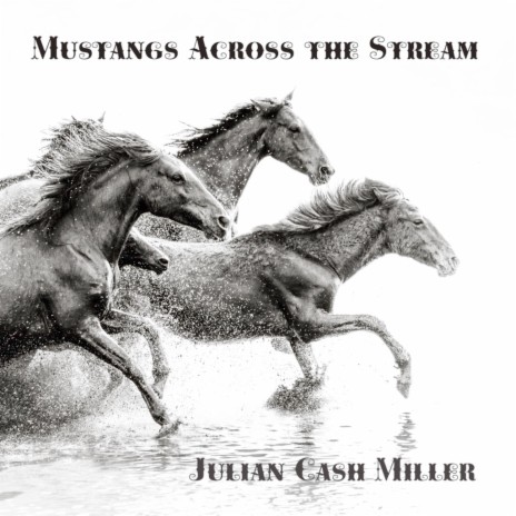 Mustangs Across the Stream cover art