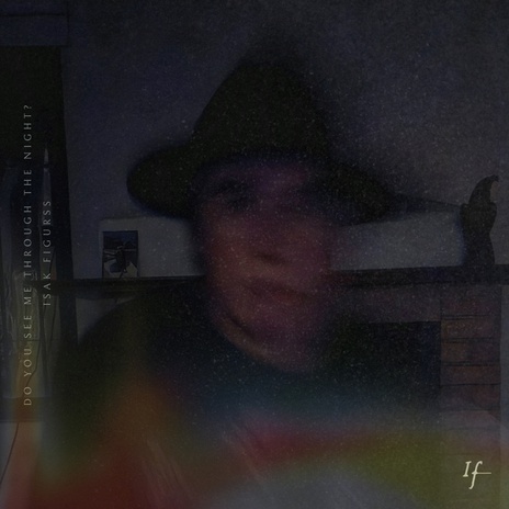 Do You See Me Through The Night? cover art