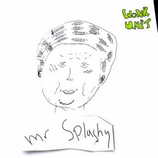 Mr Splashy
