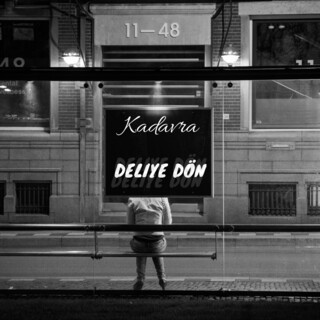 Deliye Dön cover art