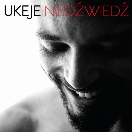 Niedzwiedz (Radio Edit) cover art
