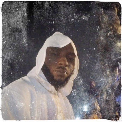 fit Ironverslim FADED cover art