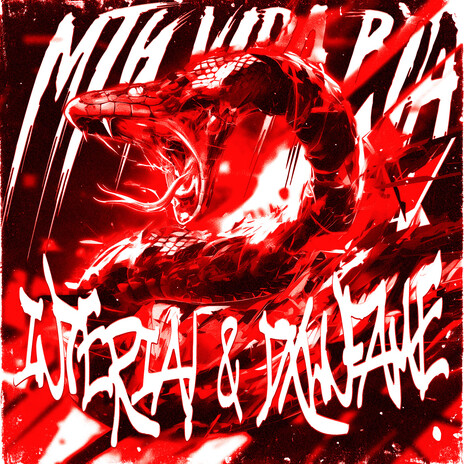 MTG VIDA BOA (Sped Up) ft. DXWNFAME cover art