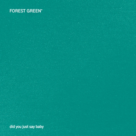 Did You Just Say Baby? cover art
