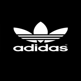 2012 Model Rap