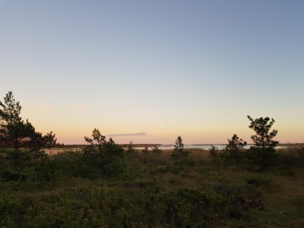 Ajaratas Halastamult Veereb Ei Teda Peatada Saa Eriti