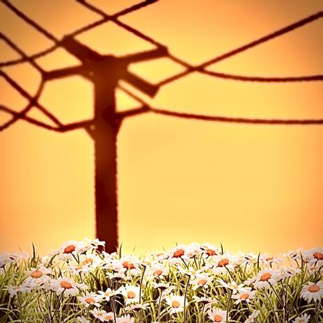 the home. cover art