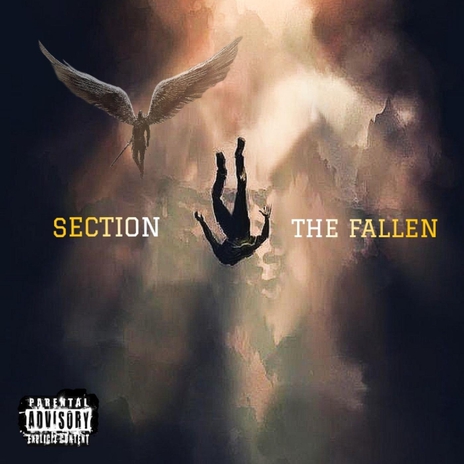 They Wanna See Me Down (feat. Protonova) cover art