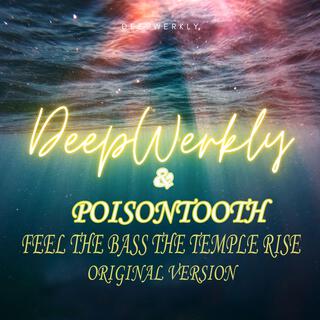 FEEL THE BASS THE TEMPLE RISE (EXTENDED MIX) ft. POISONTOOTH & aFANTOM cover art