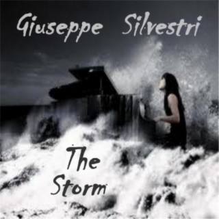 The Storm cover art