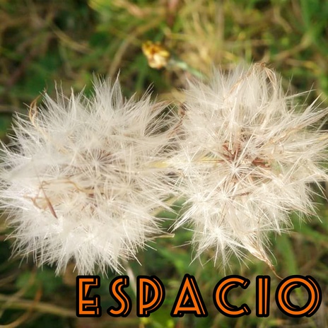 Espacio cover art