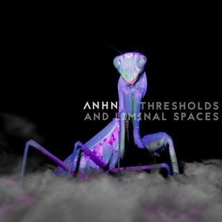 Thresholds and Liminal Spaces