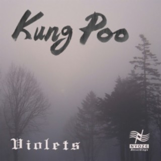Kung Poo (Dub Mix) cover art
