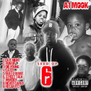 A1 Mook