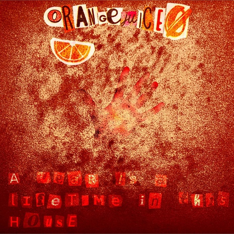 a year is a lifetime in this house cover art
