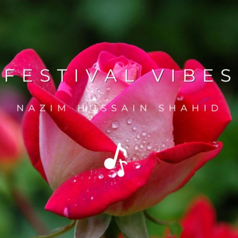Festival Vibes cover art