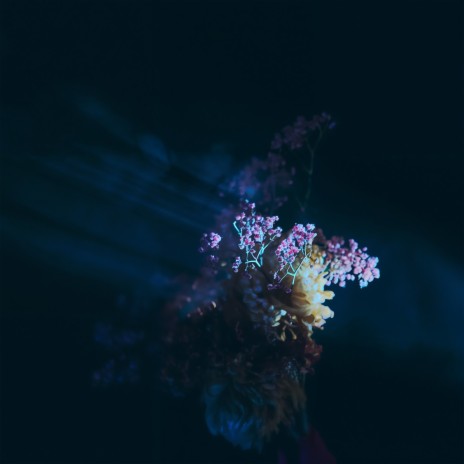 Lush Rimbaugh (Thoreau Remix) cover art