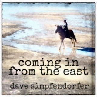 Dave Simpfendorfer