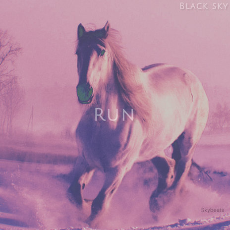 RUN cover art
