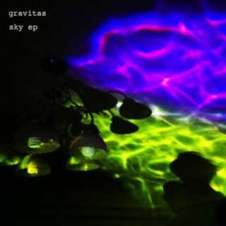 Gravitas
