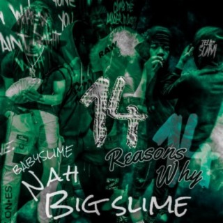 14EverSlime
