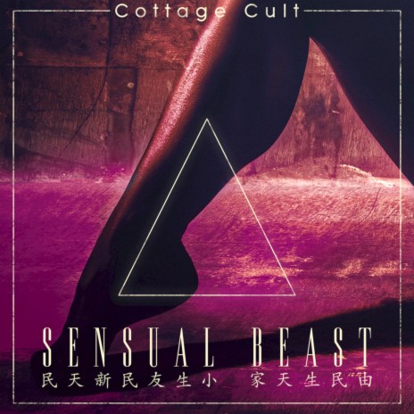 SENSUAL BEAST: You Say, You Say ft. Sunesis & Dimi Kaye cover art