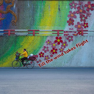 Till the wind takes flight