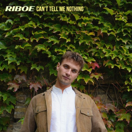 Can't Tell Me Nothing cover art