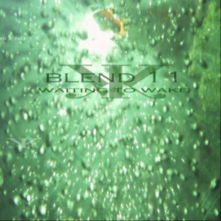 Blend 11