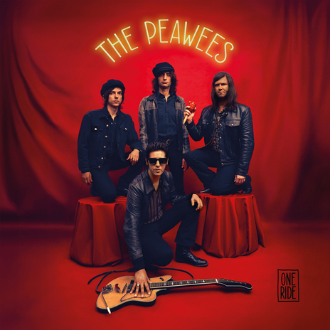 You'll Never Be Mine Again ft. The Detroit Cobras cover art