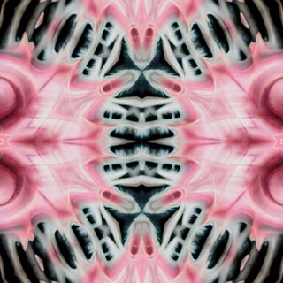 Mundo Rosa