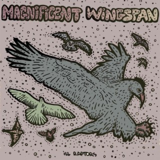 Magnificent Wingspan