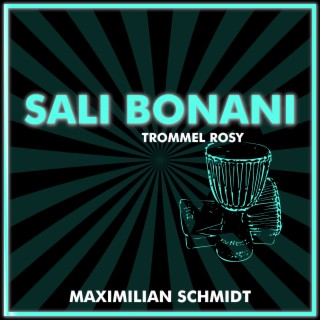 Sali Bonani (Maximilian Schmidt Remix) ft. Maximilian Schmidt