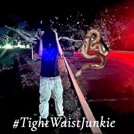 HAVE FUN cover art