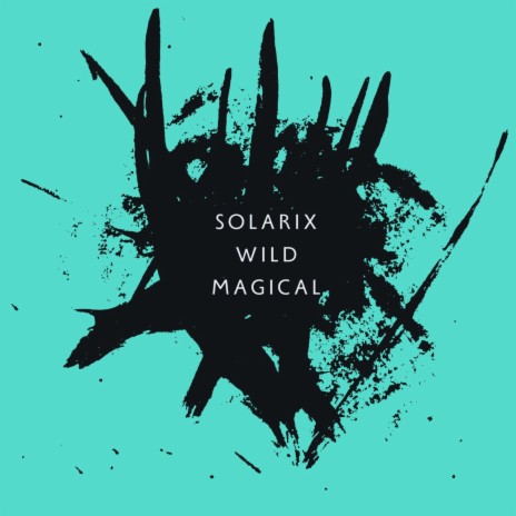 Wild Magical (Radio Edit) cover art