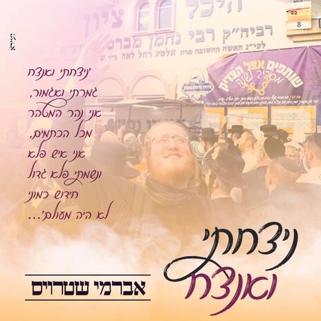 ניצחתי ואנצח cover art