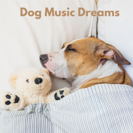 Snoozing Dog