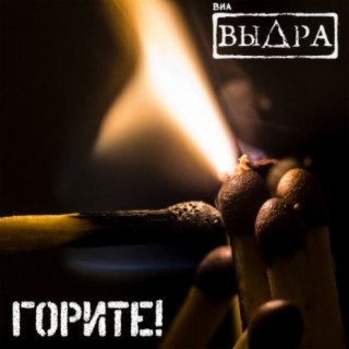 ВИА Выдра