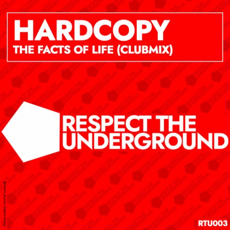 The Facts of Life (Club Mix) cover art