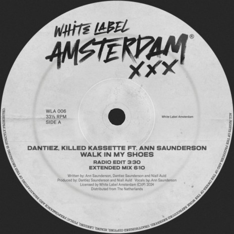 Walk In My Shoes ft. Killed Kassette & Ann Saunderson cover art