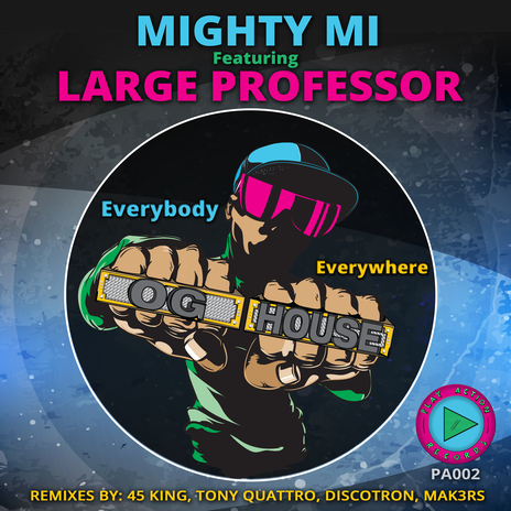 Everybody Everywhere (Tony Quattro Remix) ft. Large Professor cover art