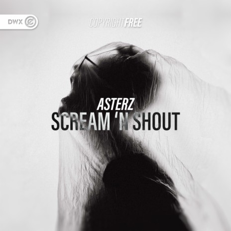 Scream 'N Shout ft. Dirty Workz cover art