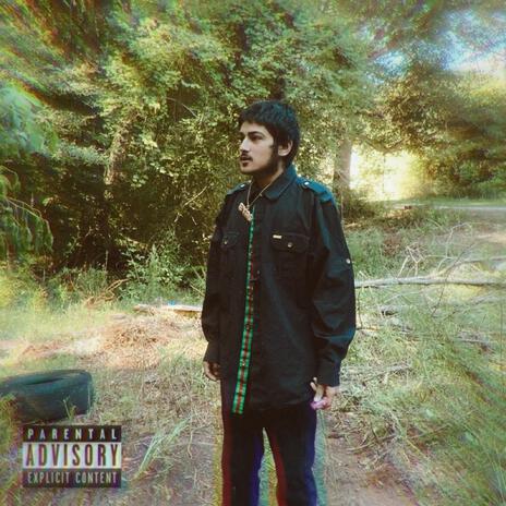 Player cover art