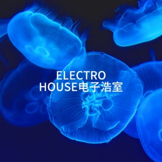Compilation Electro-House