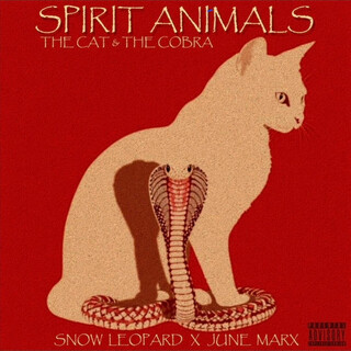 Spirit Animals