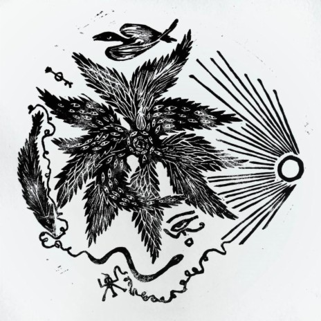 To Calculate The Anatomy Of Angels cover art
