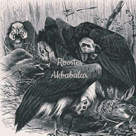 Akbabalar cover art