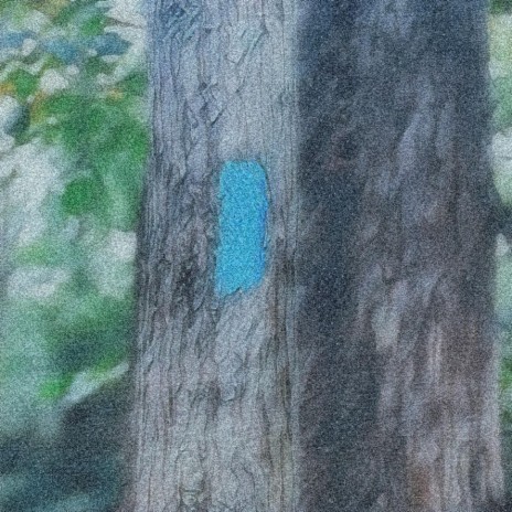 Lost and Found cover art